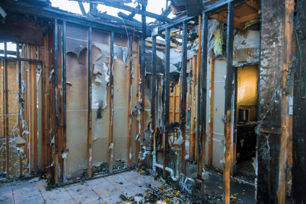 Professional Fire Damage Removal technician working in Doylestown, OH